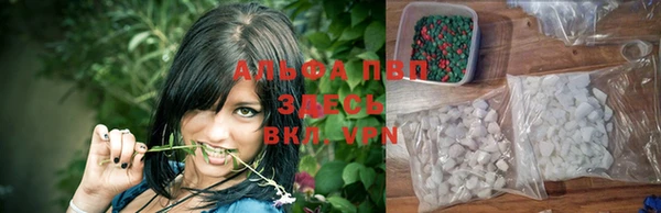 мяу мяу мука Аркадак