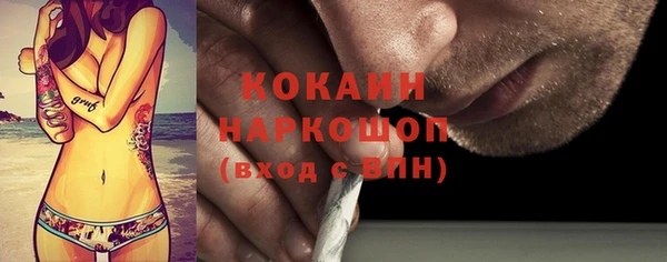 мяу мяу мука Аркадак