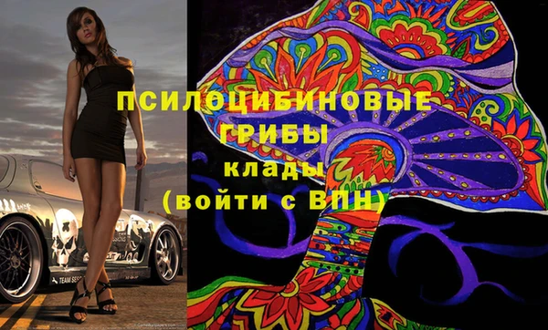 индика Армянск